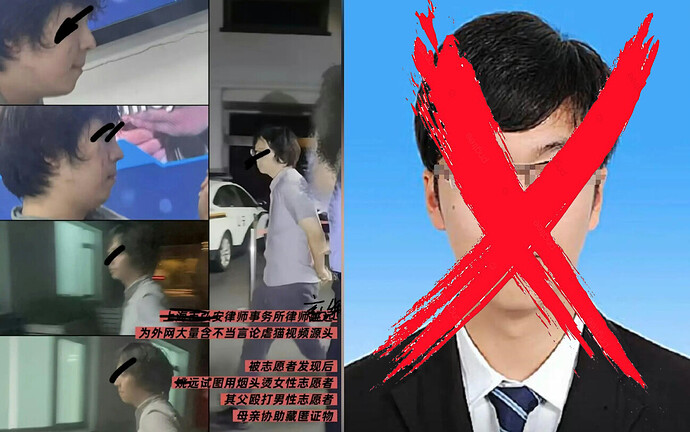 Dark and Cruel Cat Abuse Lawyer