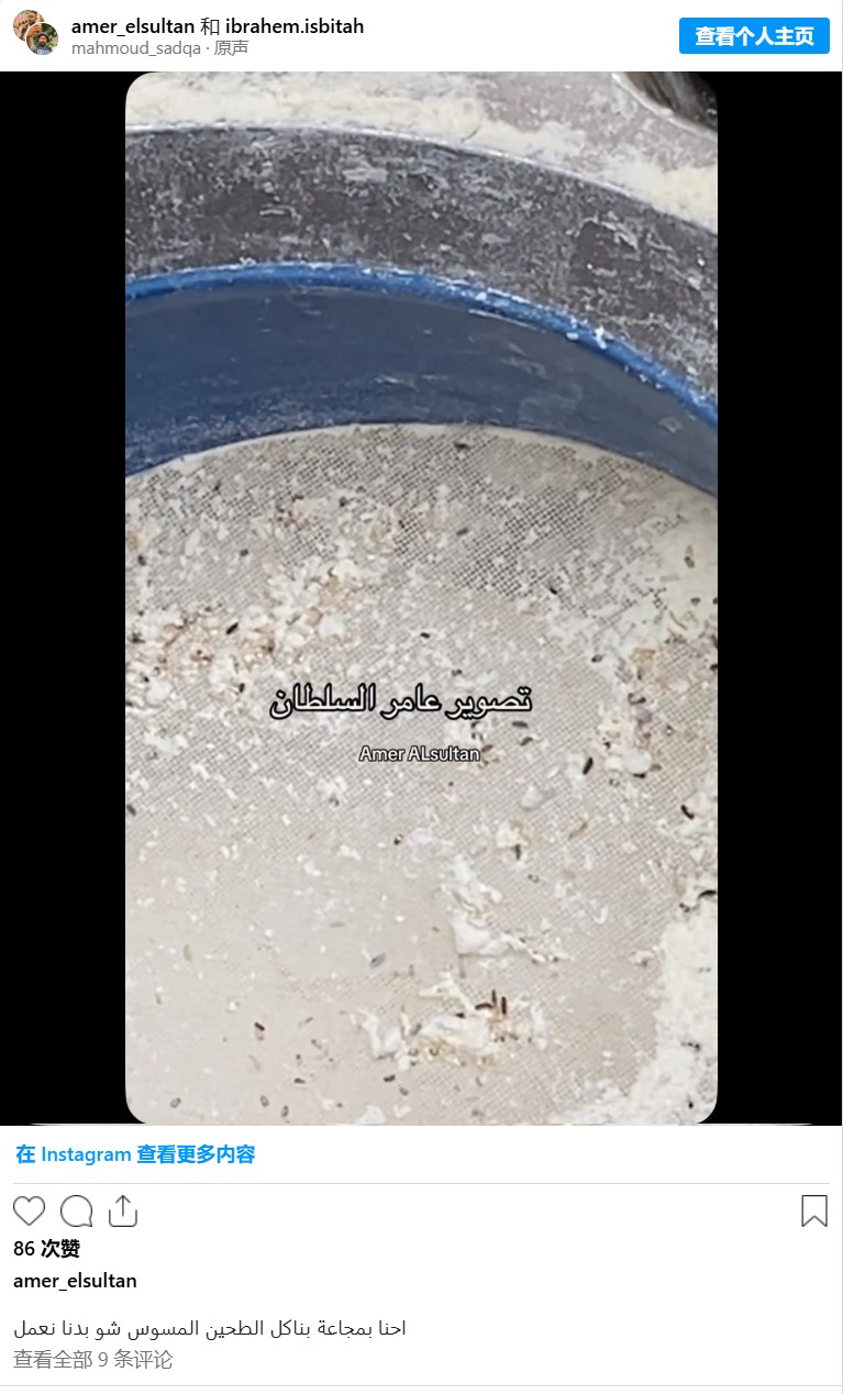 Gaza residents forced to eat insect-contaminated flour