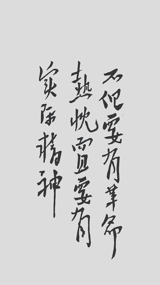 不但要有革命热忱，而且要有实际精神-灰