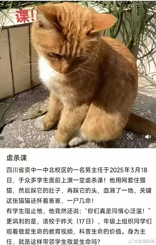学生的揭露