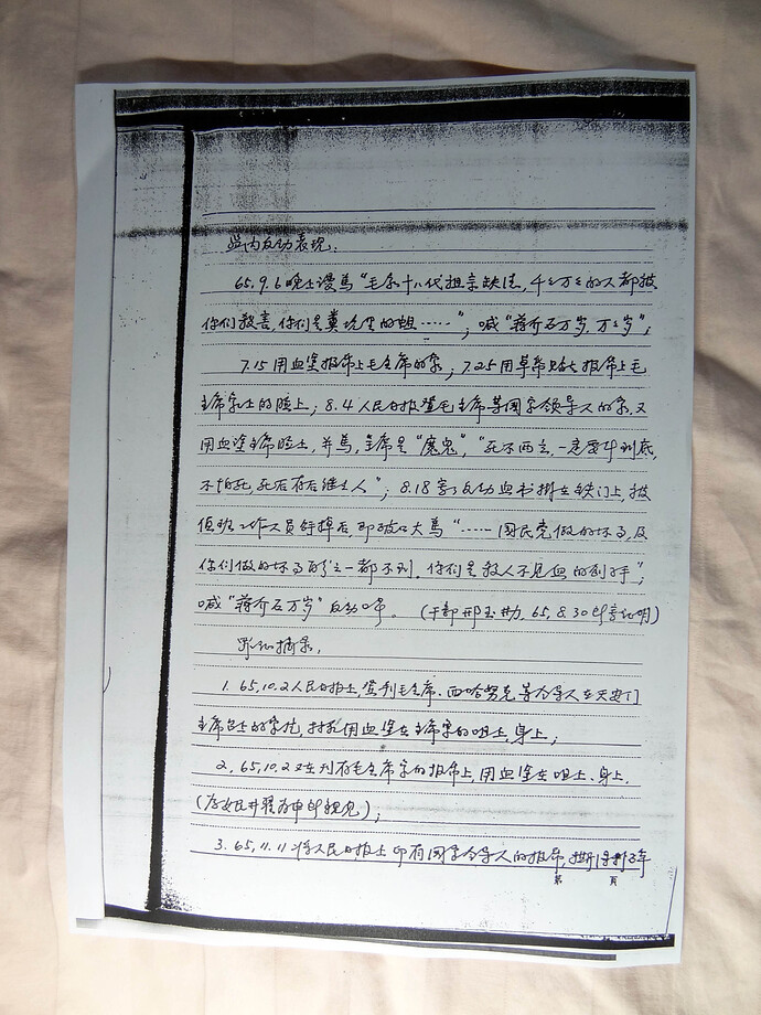 《林昭案加刑材料摘录》图片（10）