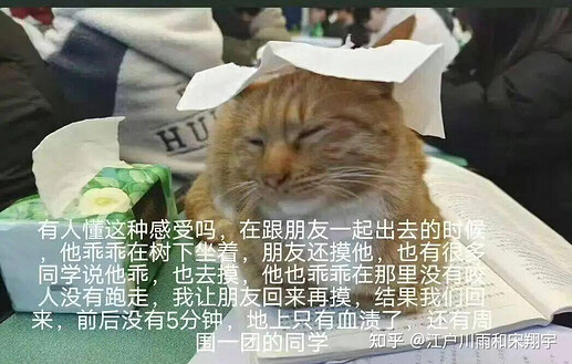 学生的揭露