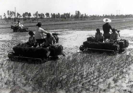 Photo of a rice transplanter used by the original seed farm in Huojia County, Xinxiang City, Henan Province