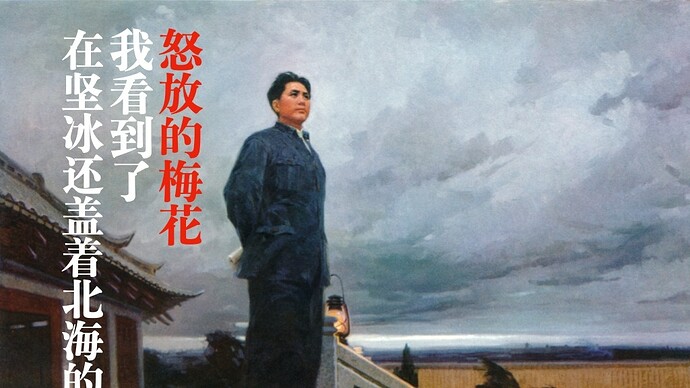 “在坚冰还盖着北海的时候，我看到了怒放的梅花”