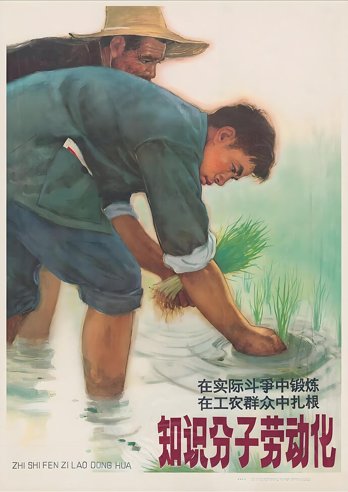 Intellectuals' Laborization