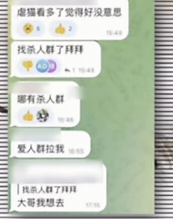 爱猫就是虐人