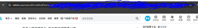 这是一段网页截图，显示了哔哩哔哩视频网站的界面和部分导航栏。 (由 AI 生成标题)
