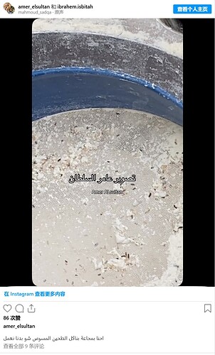 Gaza residents forced to eat insect-contaminated flour
