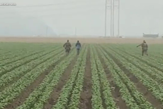 ICE agents in California chasing and arresting farm workers